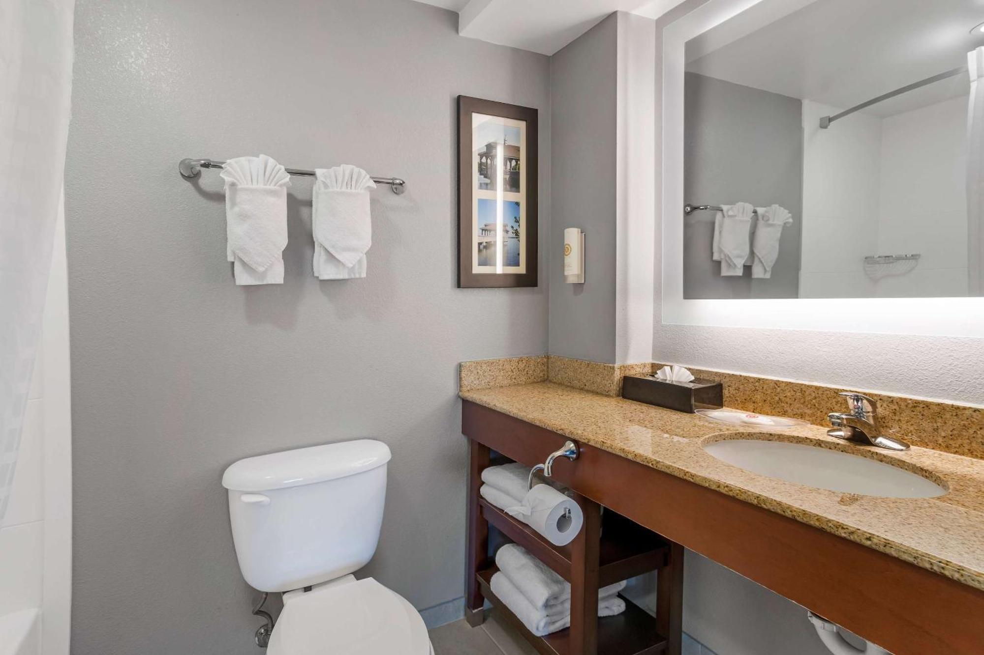 Comfort Suites Near Birkdale Village- Huntersville Esterno foto